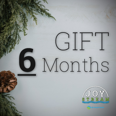gift-joystream-6-months